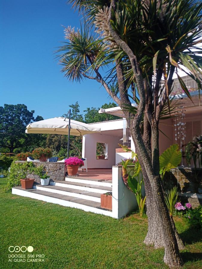 Casa De La Luna Nettuno Exteriör bild